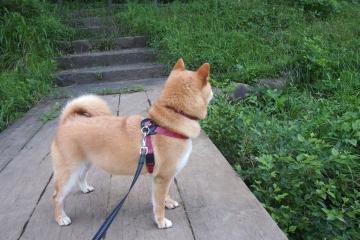 开云平台-黄金中场闪耀欧陆，帕尔默以大师级演出主导技术流碾压