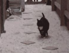 开云官网-浙江队险胜火箭，西亚卡姆全程高能输出定乾坤