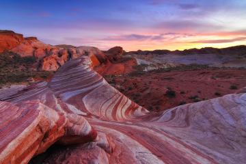 开云体育平台APP-西决生死战焦点对决，开拓者力克浙江队，昂首挺进总决赛