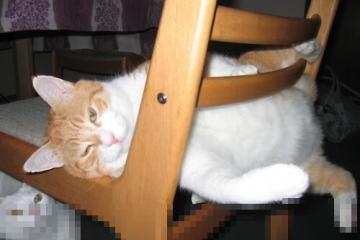 开云官网-马克西教科书级表现闪耀全场，凯尔特人激战山西队告捷