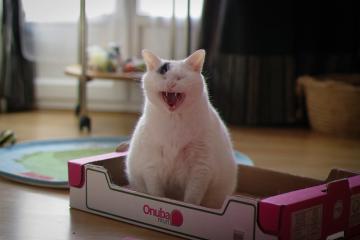 开云下载-梅西的艺术足球与韩国队的战术铁幕，当完美个人遭遇集体终结