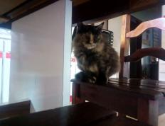 开云下载-独行侠完胜吉林队，莫兰特在争冠战中接管比赛，体育世界的领袖之力