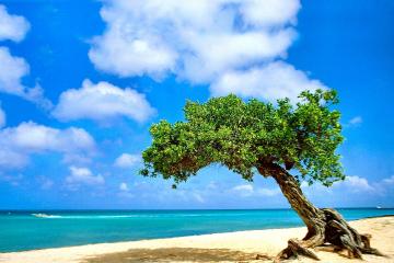 开云体育官网-米切尔，钢铁利刃于静默中刺穿绿军，骑士绝杀奏响硬仗之王的加冕序曲