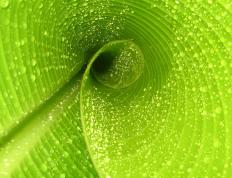 开云下载-火箭提前终结悬念公牛，小贾伦用实力证明自己，一场属于团队与个人的双重奏