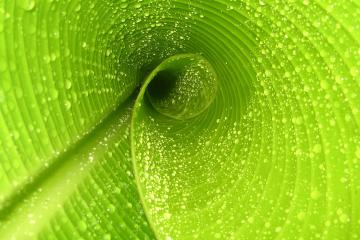 开云下载-火箭提前终结悬念公牛，小贾伦用实力证明自己，一场属于团队与个人的双重奏