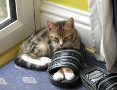 开云APP-奥运周期关键战之夜，杰伦格林教科书级表现铸就传奇