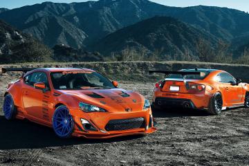 开云APP-马克西的小人物剧本，当黄蜂在上海滩的聚光灯下肆虐