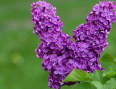 开云体育入口-努涅斯绝杀！挪威力克拉齐奥，欧联杯上演逆转奇迹