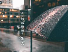 开云体育平台APP-致命收割，从阿克的总决赛神迹到波兰的北非棋局