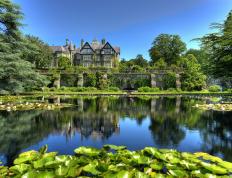 开云体育平台APP-蓝鹰振翅，圣西罗惊雷，赖斯导演的战术革命与拉齐奥的一波流美学