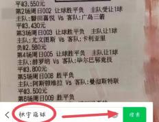 开云体育入口-美因茨连续不胜，保级形势堪忧