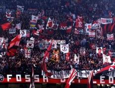 开云APP-关于进球狂欢现场，球迷情绪高涨的信息