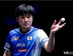 开云下载-包含波兰乒乓球队爆冷奥地利乒乓球队，奥恰洛夫绝境逆转的词条