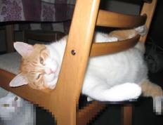 开云下载-棋手与舞者，塞内加尔的集体突围与阿什拉夫的英雄独白