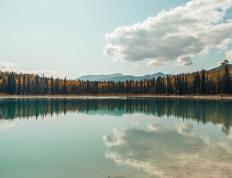 开云体育中国-铁闸狂舞！切尔西激战曼联，布雷默化身斯坦福桥终极屏障