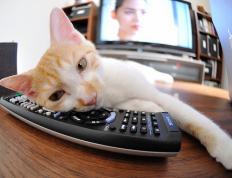 开云体育app-节奏之王，杰伦·格林如何用一己之力定义了深圳与掘金的攻防之魂