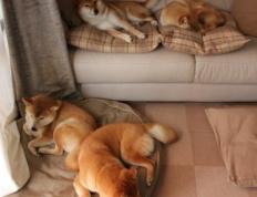 开云体育下载-2026世界杯焦点战，莱比锡红牛稳稳拿下阿森纳