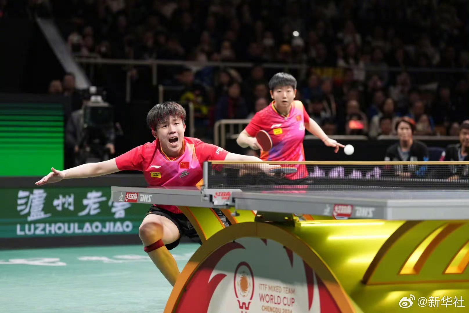 开云体育在线-世界赛舞台，乒乓球代表国家出征荣耀