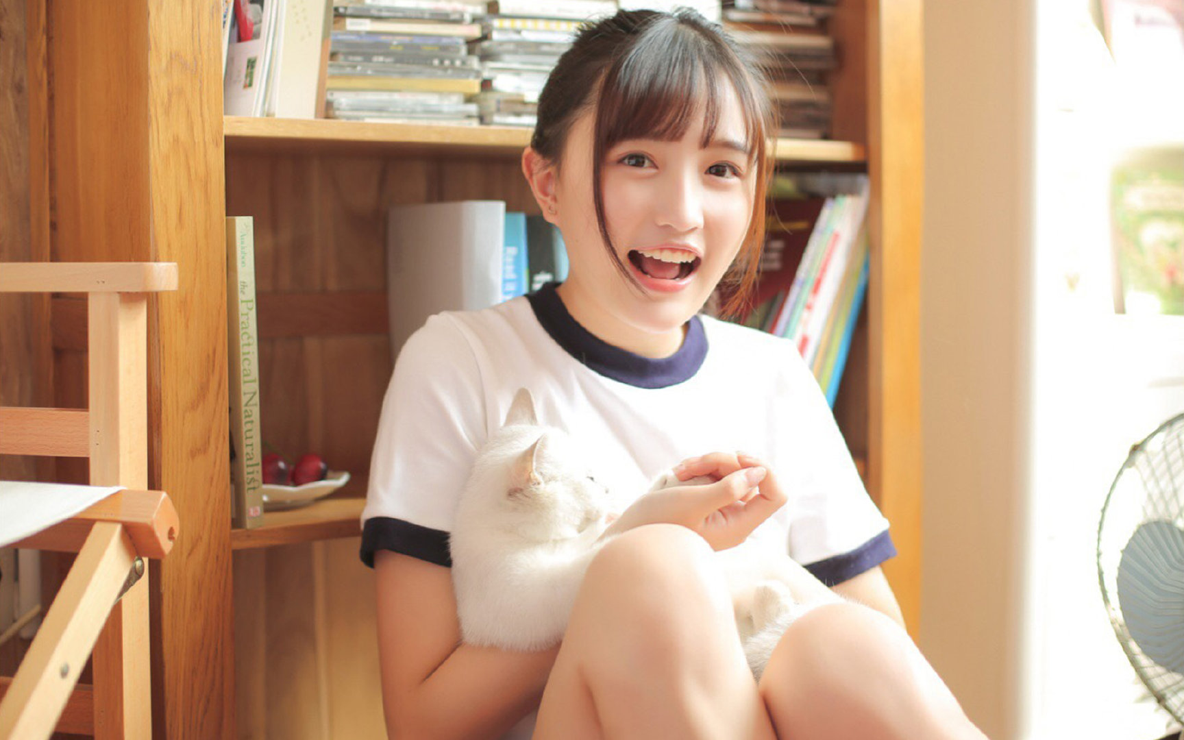 开云体育APP下载-冰岛启示录与中场哲学，从雷克雅未克看京多安的当代价值