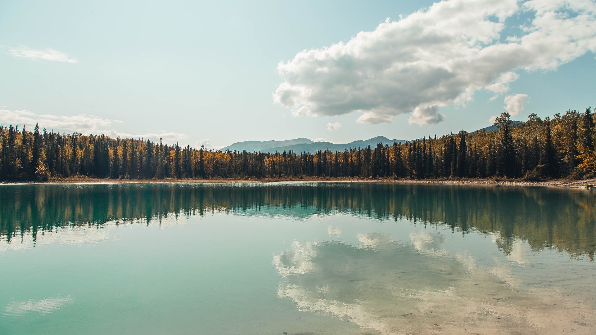 开云体育中国-铁闸狂舞！切尔西激战曼联，布雷默化身斯坦福桥终极屏障