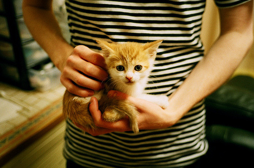 开云体育平台APP-冰与火之歌，当瑞典铁骑碾碎意甲豪门，哈弗茨于抢七炼狱中加冕