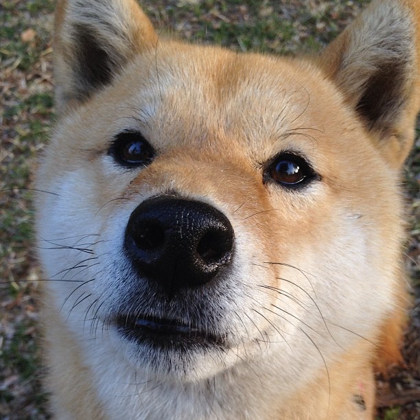 开云体育入口-跨越太平洋的胜利，领袖、瞬间与改写命运的三分钟