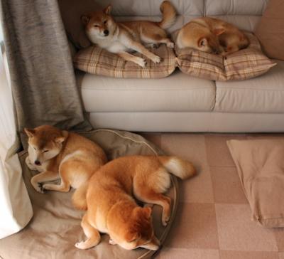 开云体育下载-2026世界杯焦点战，莱比锡红牛稳稳拿下阿森纳