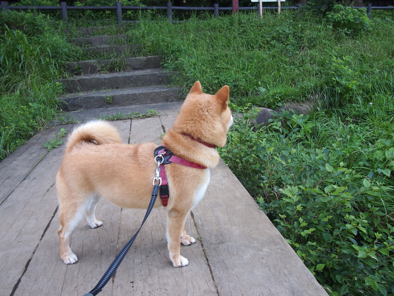 开云平台-黄金中场闪耀欧陆，帕尔默以大师级演出主导技术流碾压
