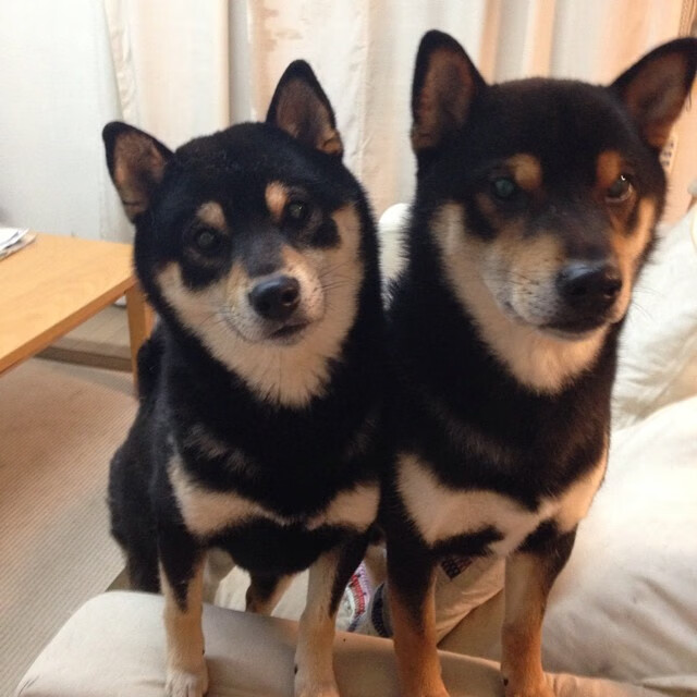 开云体育官方网站-天降神兵与铜墙铁壁，英格拉姆爆发助魔术全面压制老鹰