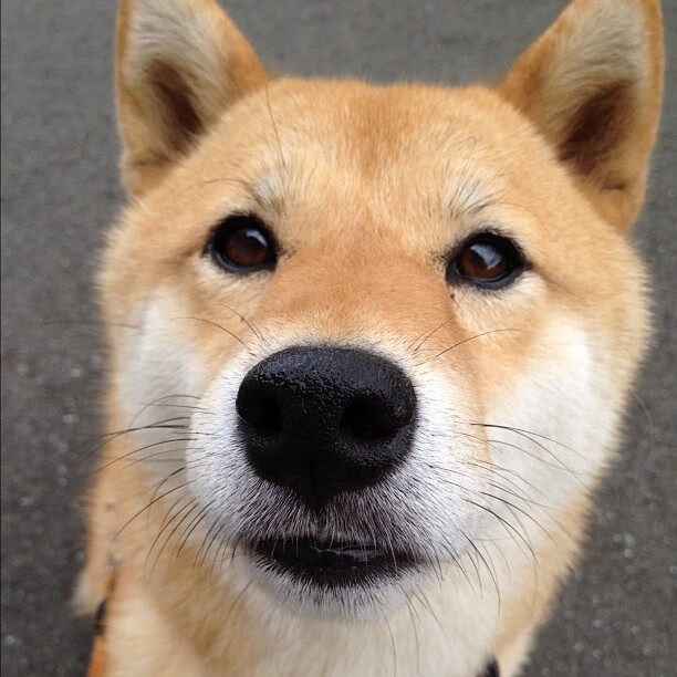 开云体育入口-铁血防线铸就胜利，克罗地亚力克贝蒂斯，阿坎吉一锤定音