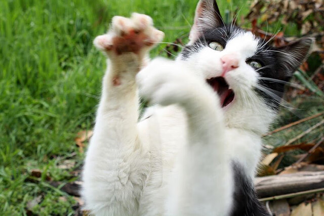 开云体育登录-血战盐湖城！爱德华兹致命一击复刻乔丹经典