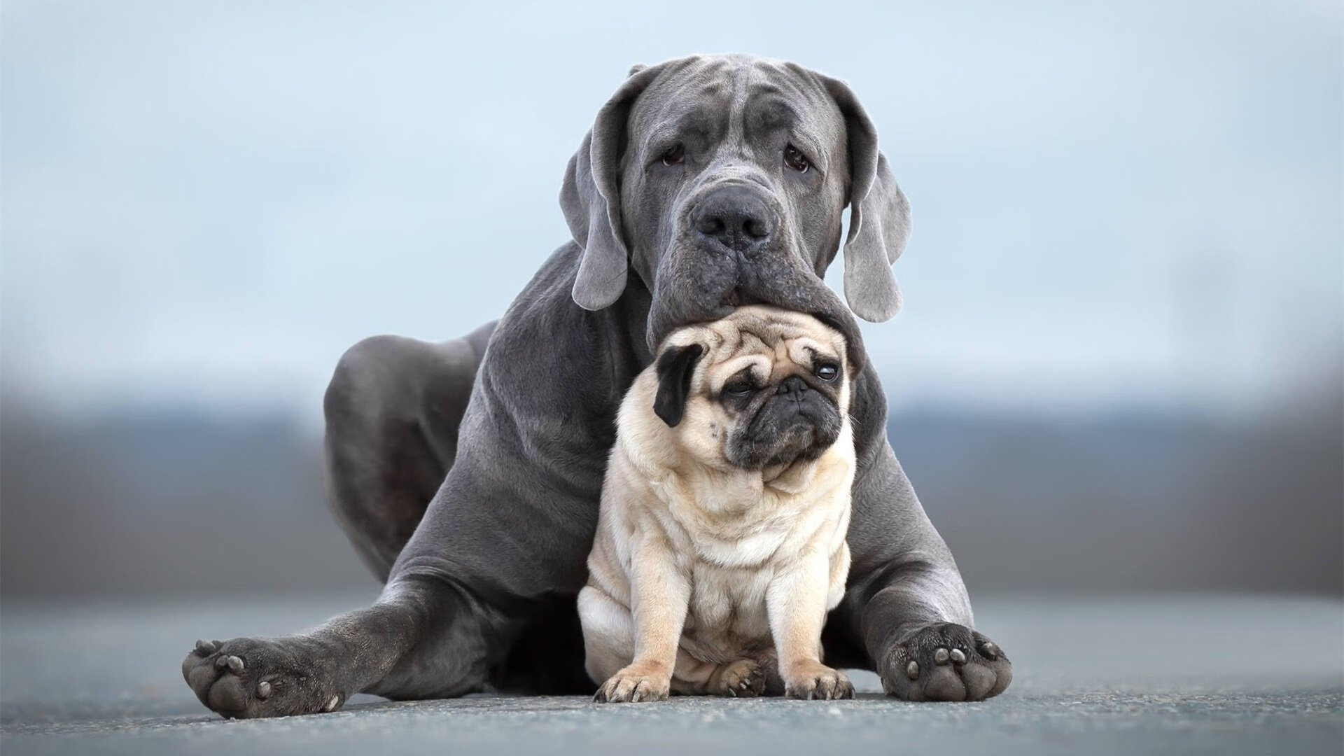 开云体育中国-虚实节拍器，从比利时到迪亚斯，掌控足球脉搏的艺术