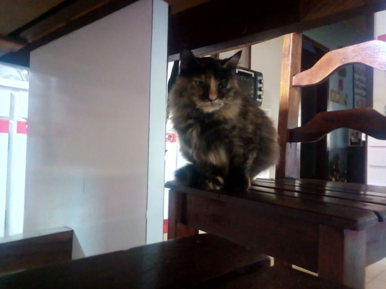 开云下载-独行侠完胜吉林队,莫兰特在争冠战中接管比赛,体育世界的领袖之力