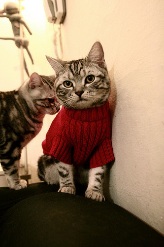 开云体育下载-死亡切割线，法比尼奥如何将日本队的传控美梦撕成碎片