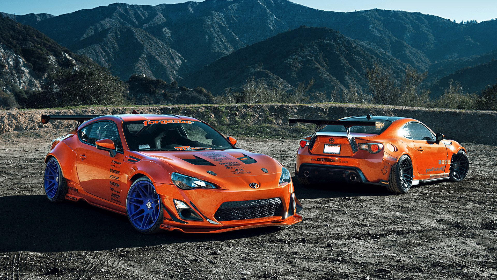 开云APP-马克西的小人物剧本，当黄蜂在上海滩的聚光灯下肆虐