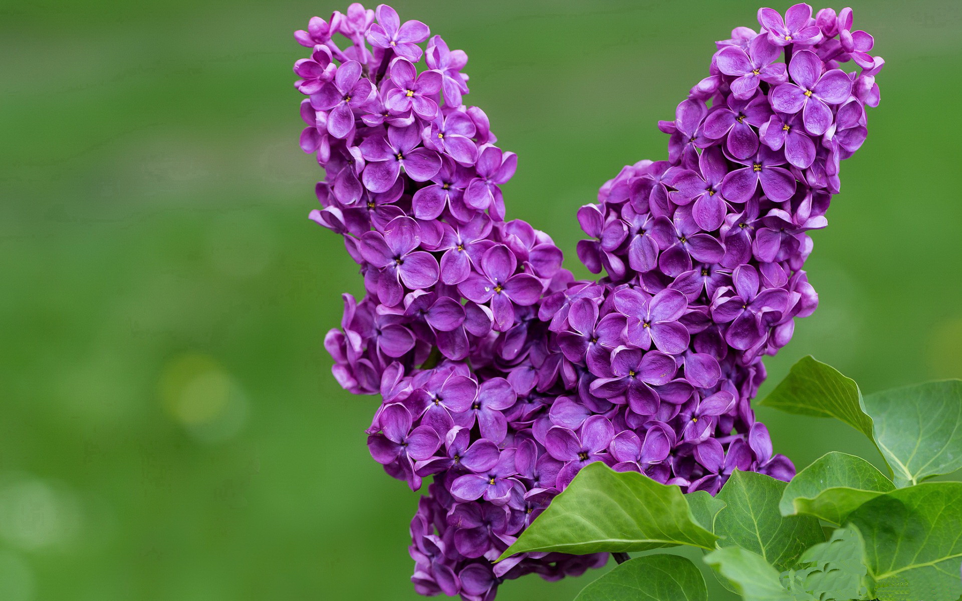 开云体育入口-努涅斯绝杀!挪威力克拉齐奥,欧联杯上演逆转奇迹