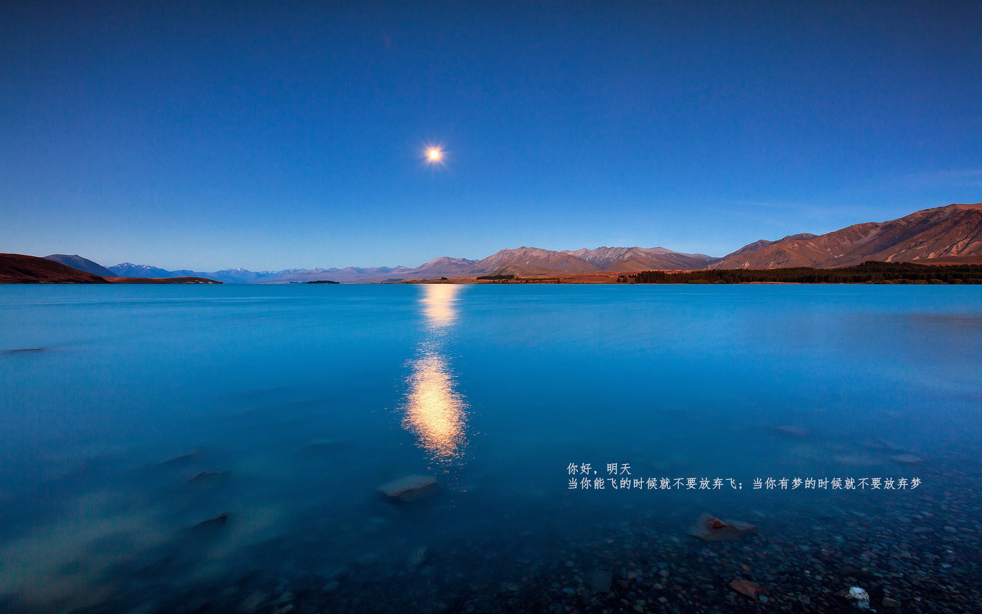 开云体育登录-当字母哥的盾遇上杜兰特的矛，一场关于无解的终极实验