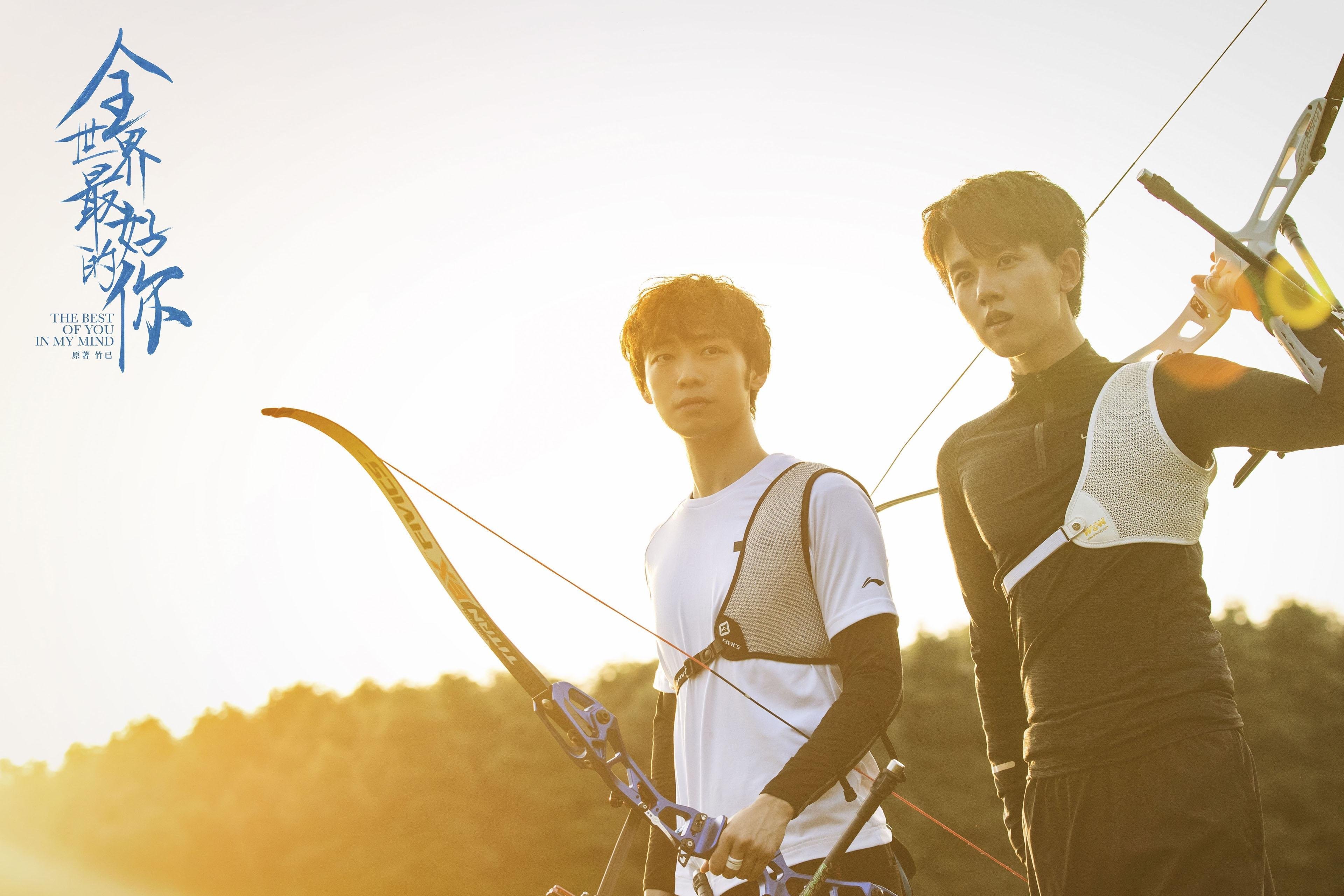 开云下载-坚盾与风暴，德里赫特的守护与阿尔及利亚的破晓