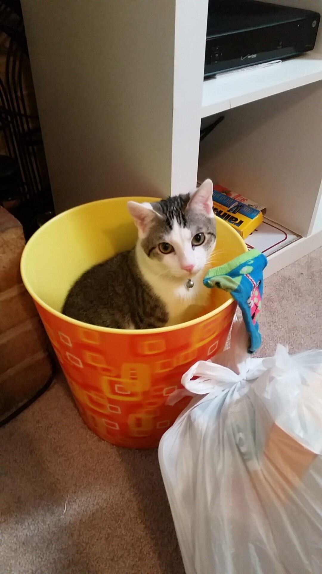 开云官网-一人刺穿银河！格纳布里欧冠封神夜，拜仁的利刃与皇马的叹息